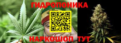 амф Краснодар