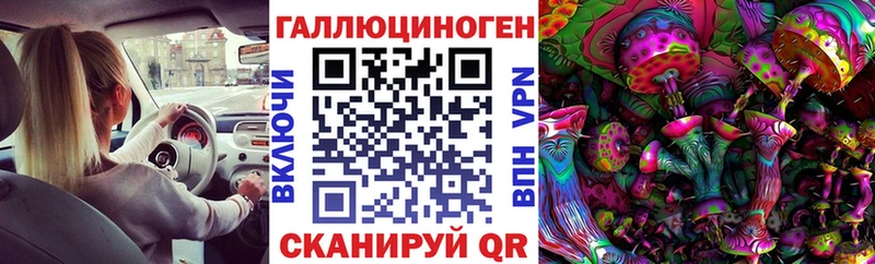 Галлюциногенные грибы Psilocybine cubensis  блэк спрут маркетплейс  Комсомольск-на-Амуре  сколько стоит 